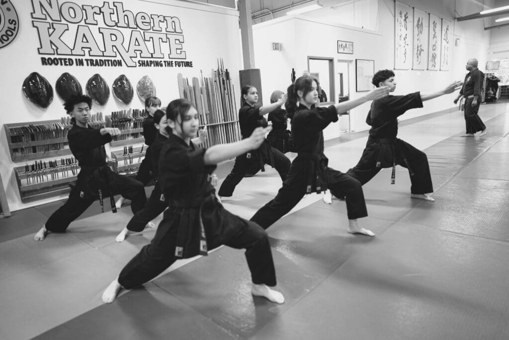 Teen Martial Arts Classes Near Me in Toronto | Northern Karate Don Mills
